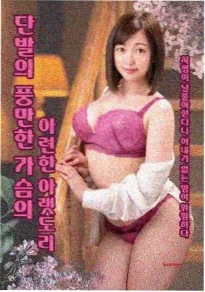 老屋与猫封面